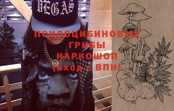 ГАЛЛЮЦИНОГЕННЫЕ ГРИБЫ Абинск