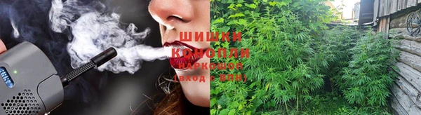 ГАЛЛЮЦИНОГЕННЫЕ ГРИБЫ Абинск