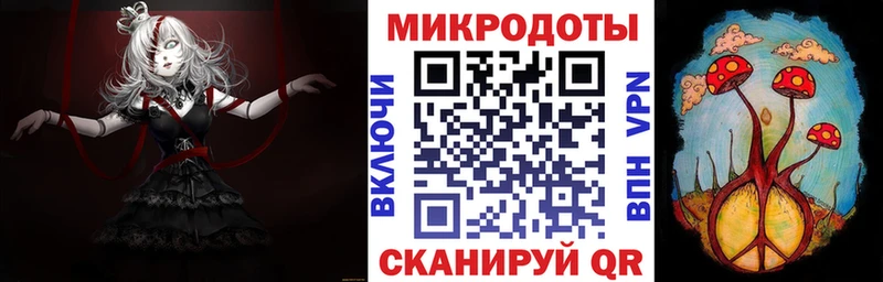 закладка  Старая Русса  Псилоцибиновые грибы GOLDEN TEACHER 