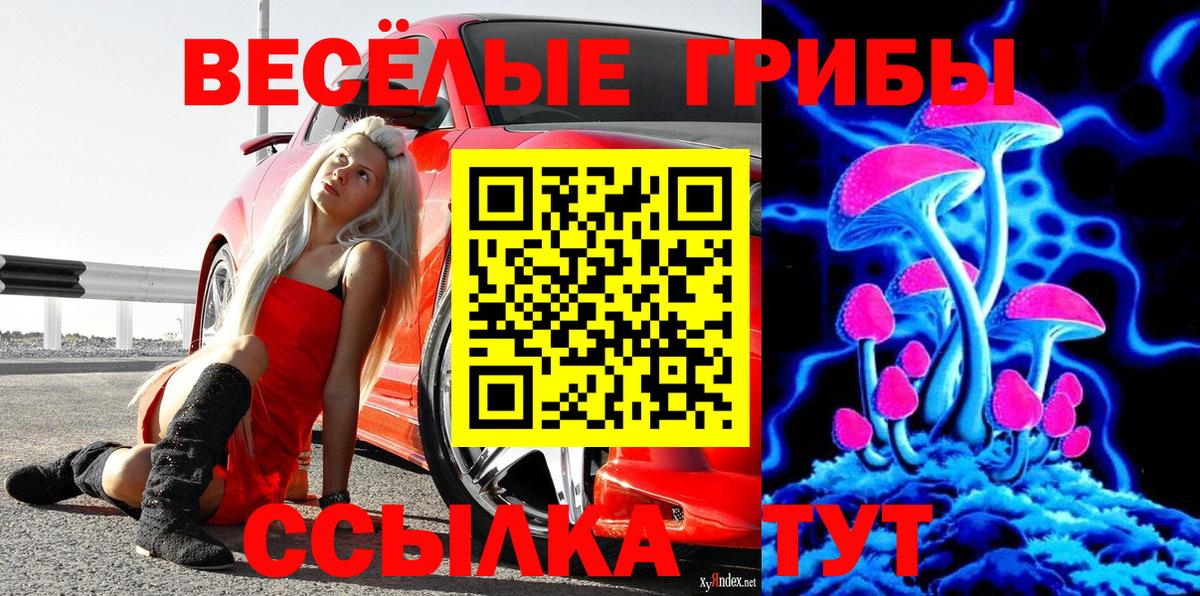 Псилоцибиновые грибы Magic Shrooms  Вход с VPN  Старая Русса 