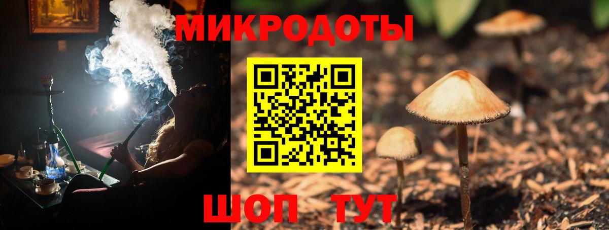 Псилоцибиновые грибы Cubensis Старая Русса